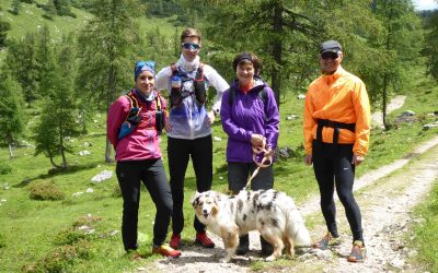 Alpinlauf Wurzeralm – Hochmölblinghütte