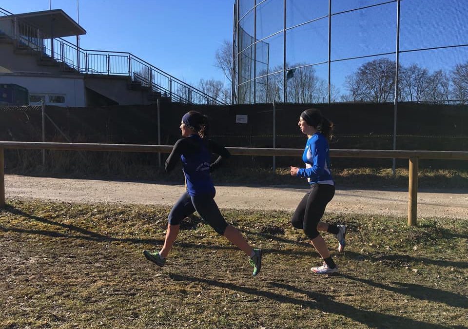 OÖ Landesmeisterschaften Crosslauf
